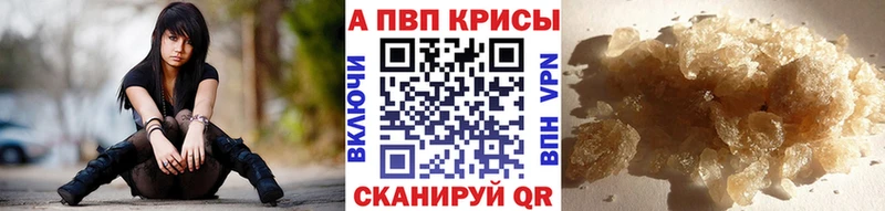 купить наркотики сайты  Кохма  A-PVP СК КРИС 