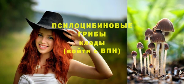 МДМА Козловка