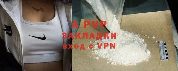 ECSTASY Костерёво