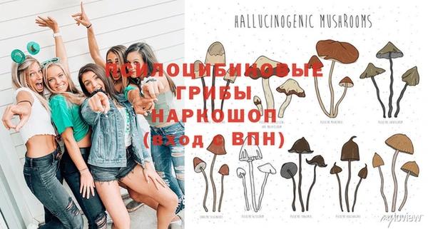 тгк Кодинск